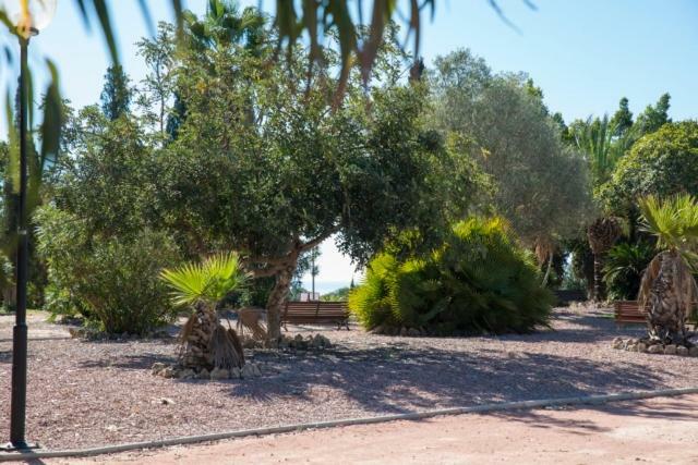 Residencia Marista Santa Maria Del Mar Otel Guardamar del Segura Dış mekan fotoğraf