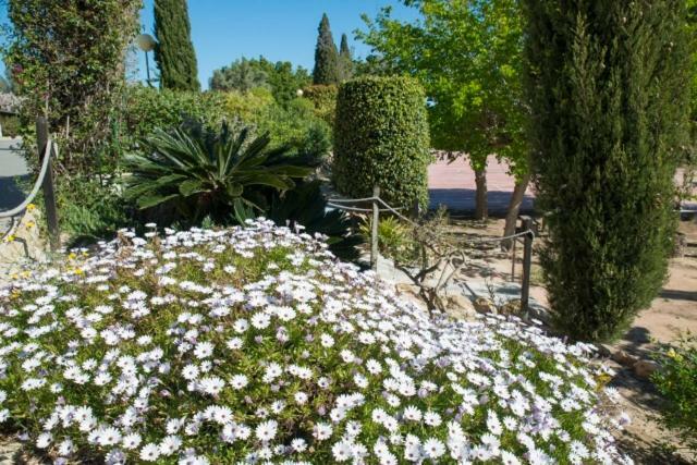 Residencia Marista Santa Maria Del Mar Otel Guardamar del Segura Dış mekan fotoğraf
