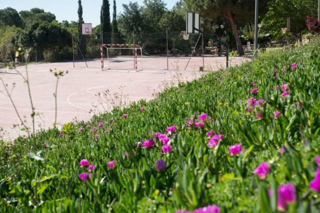 Residencia Marista Santa Maria Del Mar Otel Guardamar del Segura Dış mekan fotoğraf