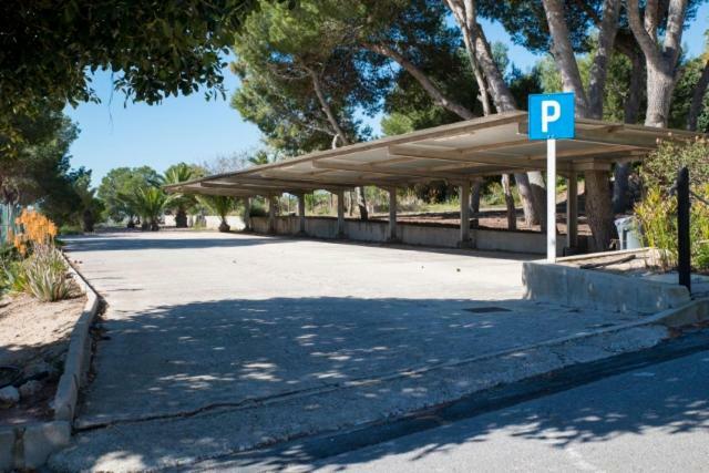 Residencia Marista Santa Maria Del Mar Otel Guardamar del Segura Dış mekan fotoğraf